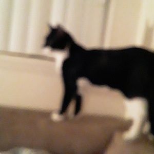 Meet your Posher, Larry